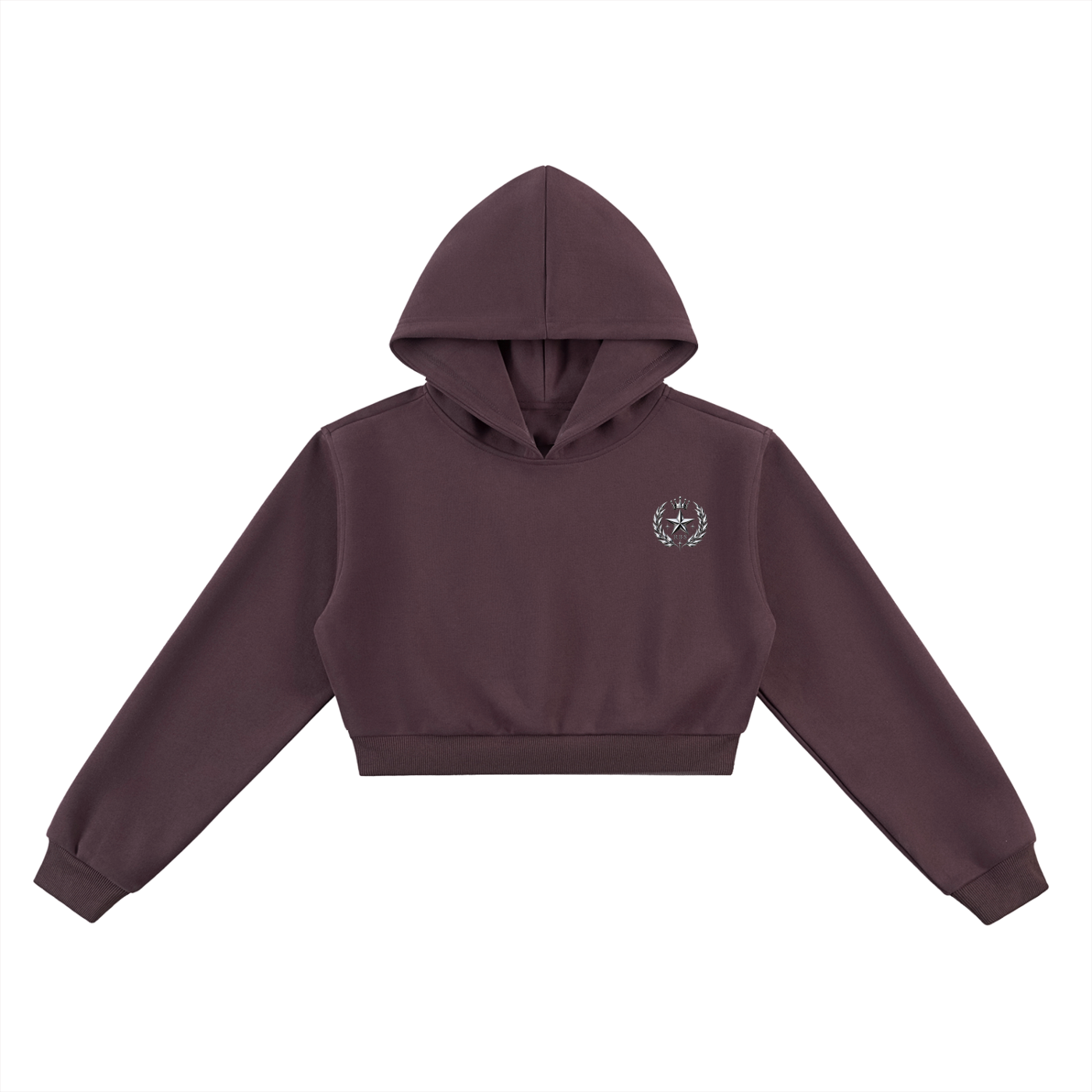 Stargirl Cropped Hoodie